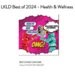 LKLD 2024